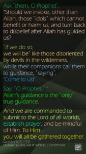 Quran 6_71-72 - English - 14 Jun 25