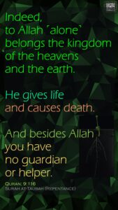 Quran 9_116 - English - 24 Jun 25