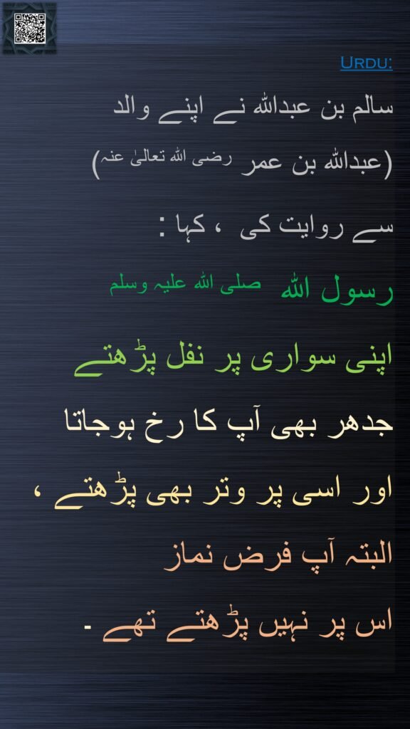 سالم بن عبداللہ نے اپنے والد 
(عبداللہ بن عمر رضی اللہ تعالیٰ عنہ)  
سے روایت کی  ، کہا : 
رسول اللہ  صلی اللہ علیہ وسلم   
اپنی سواری پر نفل پڑھتے جدھر بھی آپ کا رخ ہوجاتا 
اور اسی پر وتر بھی پڑھتے ، البتہ آپ فرض نماز 
اس پر نہیں پڑھتے تھے ۔ 
