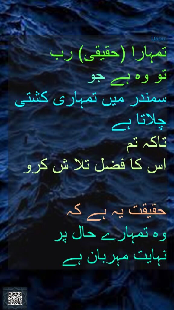 تمہارا (حقیقی) رب 
تو وہ ہے جو 
سمندر میں تمہاری کشتی چلاتا ہے 
تاکہ تم 
اس کا فضل تلا ش کرو 

حقیقت یہ ہے کہ 
وہ تمہارے حال پر 
نہایت مہربان ہے
