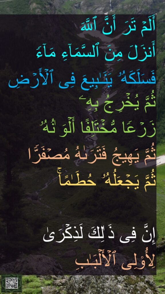 أَلَمۡ تَرَ أَنَّ ٱللَّهَ 
أَنزَلَ مِنَ ٱلسَّمَاۤءِ مَاۤءࣰ 
فَسَلَكَهُۥ یَنَـٰبِیعَ فِی ٱلۡأَرۡضِ ثُمَّ یُخۡرِجُ بِهِۦ 
زَرۡعࣰا مُّخۡتَلِفًا أَلۡوَ ٰنُهُۥ 
ثُمَّ یَهِیجُ فَتَرَىٰهُ مُصۡفَرࣰّا 
ثُمَّ یَجۡعَلُهُۥ حُطَـٰمًاۚ 

إِنَّ فِی ذَ ٰلِكَ لَذِكۡرَىٰ 
لِأُو۟لِی ٱلۡأَلۡبَـٰبِ