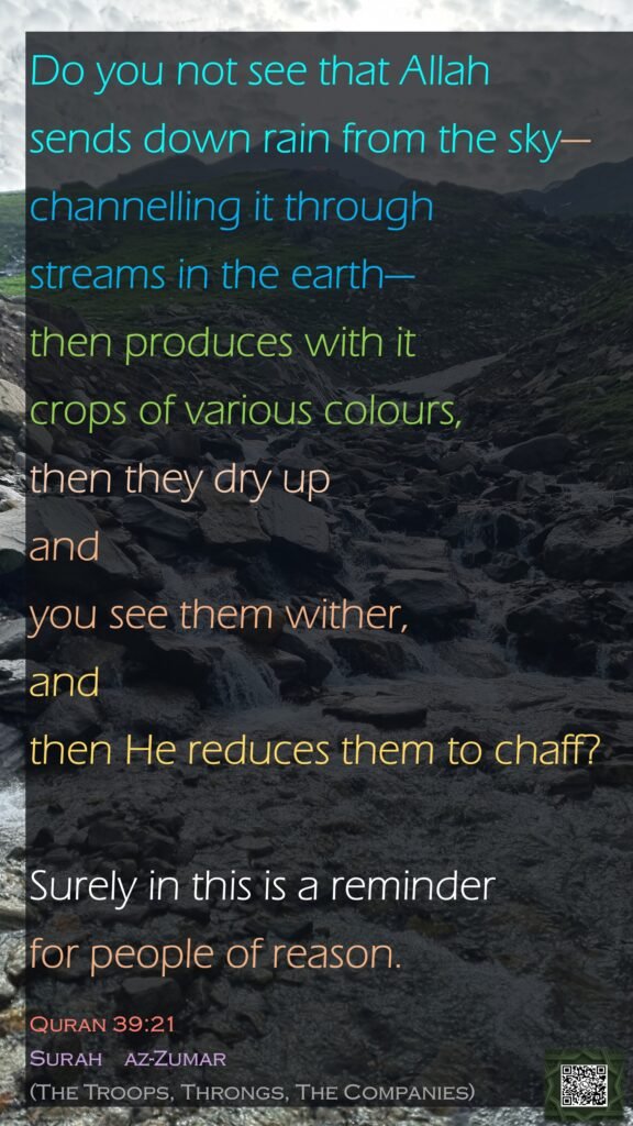 Do you not see that Allah sends down rain from the sky—channelling it through streams in the earth—then produces with it crops of various colours, then they dry up and you see them wither, and then He reduces them to chaff?Surely in this is a reminder for people of reason.Quran 39:21Surah    az-Zumar (The Troops, Throngs, The Companies)