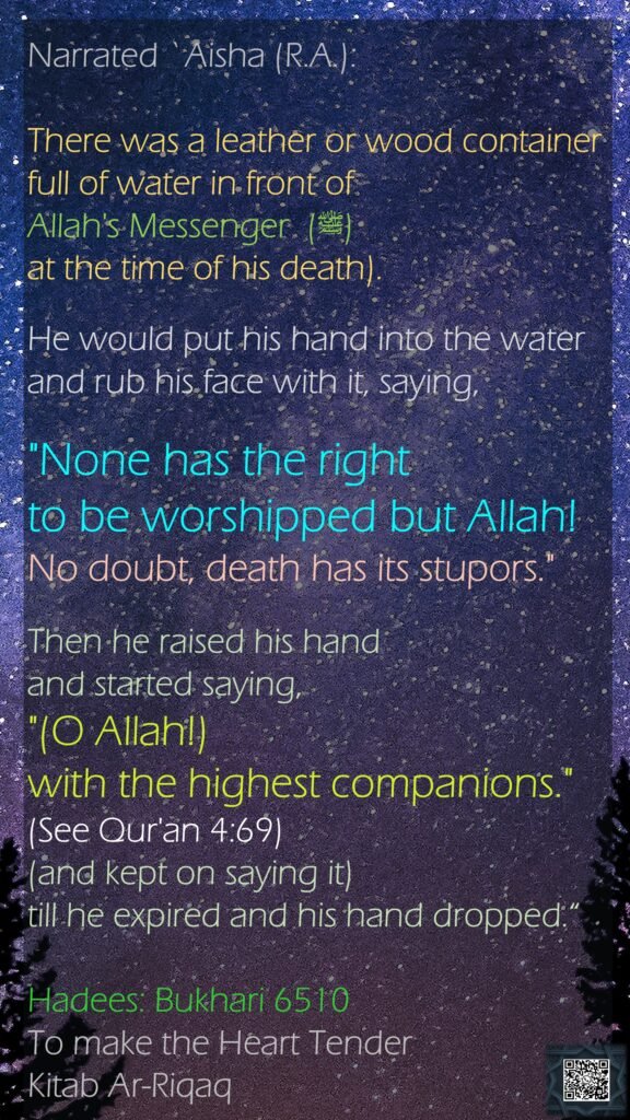 Narrated `Aisha (R.A.):There was a leather or wood container full of water in front of Allah's Messenger  (ﷺ) at the time of his death). He would put his hand into the water and rub his face with it, saying, "None has the right to be worshipped but Allah! No doubt, death has its stupors." Then he raised his hand and started saying, "(O Allah!) with the highest companions." (See Qur'an 4:69) (and kept on saying it) till he expired and his hand dropped.“Hadees: Bukhari 6510To make the Heart TenderKitab Ar-Riqaq