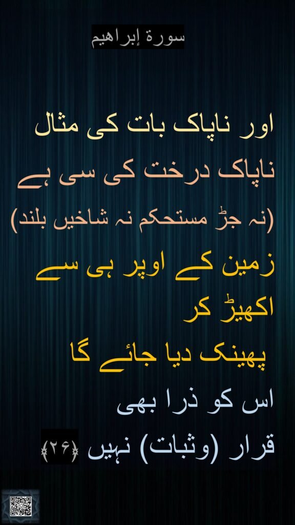 ‏سورة إبراهیم

اور ناپاک بات کی مثال ناپاک درخت کی سی ہے (نہ جڑ مستحکم نہ شاخیں بلند) زمین کے اوپر ہی سے اکھیڑ کر
 پھینک دیا جائے گا 
اس کو ذرا بھی 
قرار (وثبات) نہیں ﴿۲۶﴾ 
