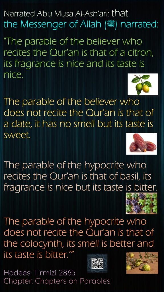 Narrated Abu Musa Al-Ash'ari: that the Messenger of Allah (ﷺ) narrated: "The parable of the believer who recites the Qur'an is that of a citron, its fragrance is nice and its taste is nice. The parable of the believer who does not recite the Qur'an is that of a date, it has no smell but its taste is sweet. The parable of the hypocrite who recites the Qur'an is that of basil, its fragrance is nice but its taste is bitter. The parable of the hypocrite who does not recite the Qur'an is that of the colocynth, its smell is better and its taste is bitter.’”Hadees: Tirmizi 2865Chapter: Chapters on Parables