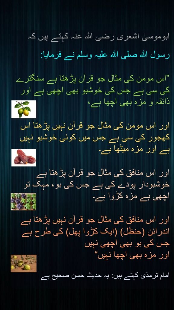 ابوموسیٰ اشعری رضی الله عنہ کہتے ہیں کہ 

رسول اللہ صلی اللہ علیہ وسلم نے فرمایا: 

”اس مومن کی مثال جو قرآن پڑھتا ہے سنگترے کی سی ہے جس کی خوشبو بھی اچھی ہے اور ذائقہ و مزہ بھی اچھا ہے، 

اور اس مومن کی مثال جو قرآن نہیں پڑھتا اس کھجور کی سی ہے جس میں کوئی خوشبو نہیں ہے اور مزہ میٹھا ہے۔ 

اور اس منافق کی مثال جو قرآن پڑھتا ہے خوشبودار پودے کی ہے جس کی بو، مہک تو اچھی ہے مزہ کڑوا ہے۔ 

اور اس منافق کی مثال جو قرآن نہیں پڑھتا ہے اندرائن (حنظل) (ایک کڑوا پھل) کی طرح ہے جس کی بو بھی اچھی نہیں 
اور مزہ بھی اچھا نہیں“ 

امام ترمذی کہتے ہیں: یہ حدیث حسن صحیح ہے
