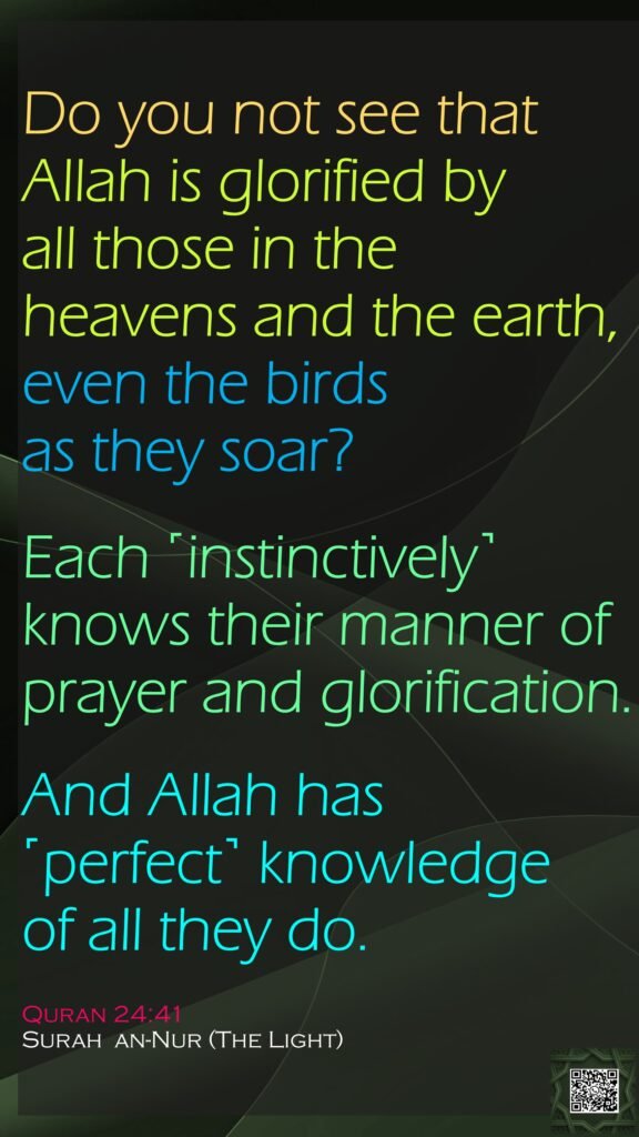Do you not see that Allah is glorified by all those in the heavens and the earth, even the birds as they soar? Each ˹instinctively˺ knows their manner of prayer and glorification. And Allah has ˹perfect˺ knowledge of all they do.Quran 24:41Surah  an-Nur (The Light)