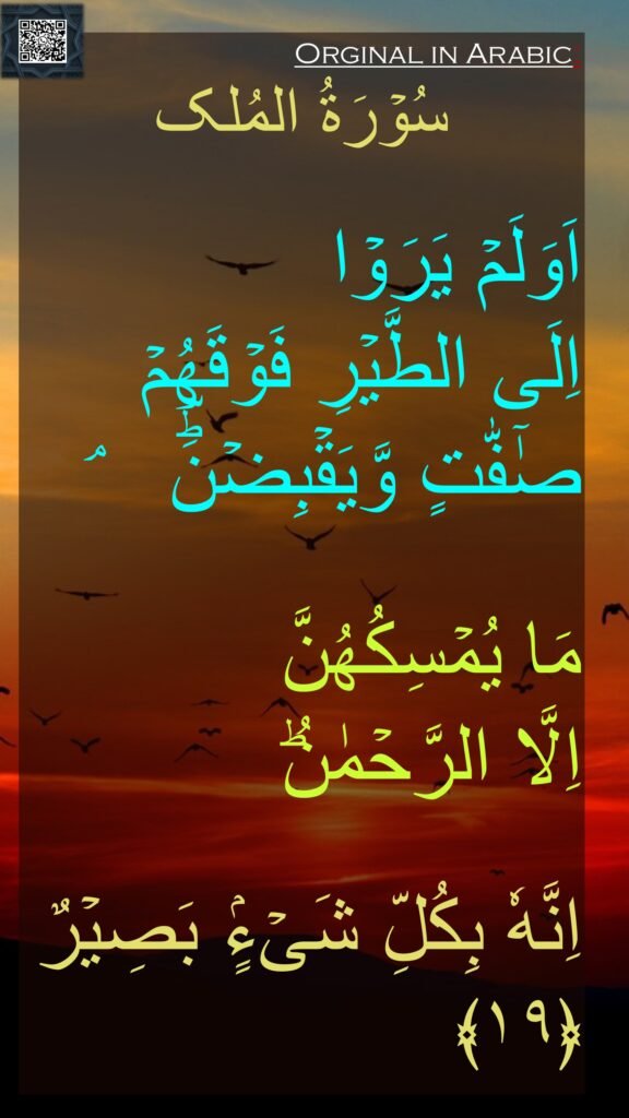 سُوۡرَةُ المُلک

اَوَلَمۡ يَرَوۡا 
اِلَى الطَّيۡرِ فَوۡقَهُمۡ 
صٰٓفّٰتٍ وَّيَقۡبِضۡنَؕؔ   ۘ 

مَا يُمۡسِكُهُنَّ 
اِلَّا الرَّحۡمٰنُ‌ؕ 

اِنَّهٗ بِكُلِّ شَىۡءٍۢ بَصِيۡرٌ‏ ﴿۱۹﴾ 

