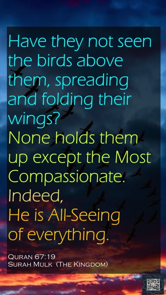 Have they not seen the birds above them, spreading and folding their wings? None holds them up except the Most Compassionate. Indeed, He is All-Seeing of everything.Quran 67:19Surah Mulk  (The Kingdom)