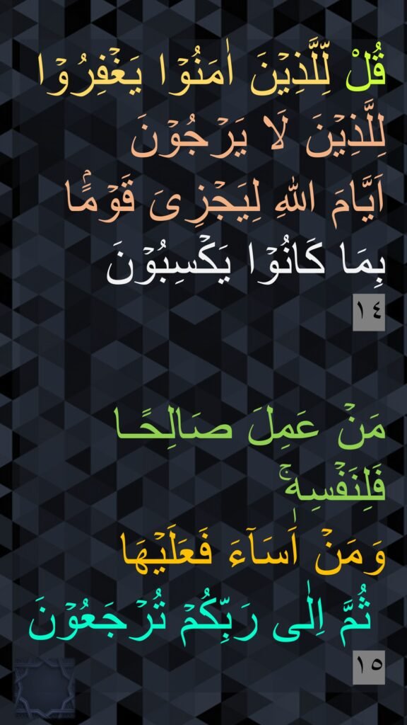 قُلْ لِّلَّذِيۡنَ اٰمَنُوۡا يَغۡفِرُوۡا لِلَّذِيۡنَ لَا يَرۡجُوۡنَ 
اَيَّامَ اللّٰهِ لِيَجۡزِىَ قَوۡمًۢا بِمَا كَانُوۡا يَكۡسِبُوۡنَ‏ 
١٤

مَنۡ عَمِلَ صَالِحًـا فَلِنَفۡسِهٖ​ۚ 
وَمَنۡ اَسَآءَ فَعَلَيۡهَا
​ ثُمَّ اِلٰى رَبِّكُمۡ تُرۡجَعُوۡنَ‏ ١٥
