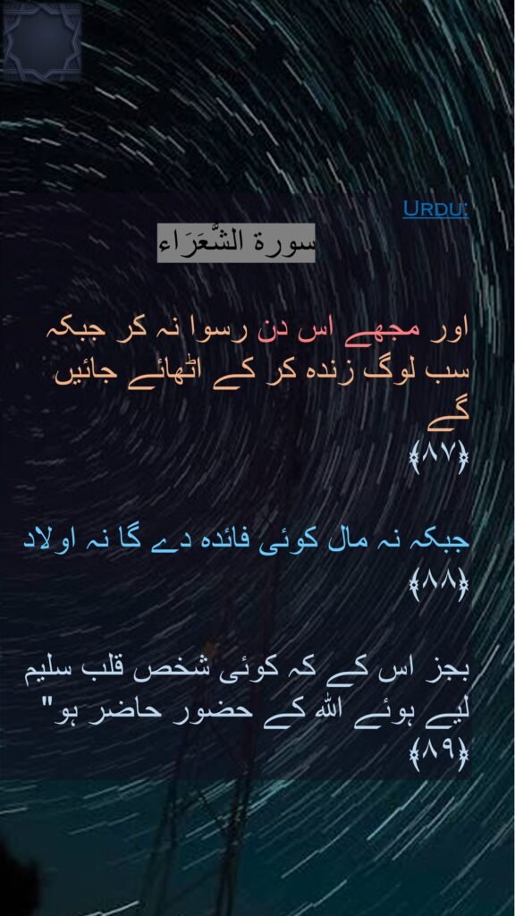 سورة الشُّعَرَاء

اور مجھے اس دن رسوا نہ کر جبکہ سب لوگ زندہ کر کے اٹھائے جائیں گے 
﴿۸۷﴾  

جبکہ نہ مال کوئی فائدہ دے گا نہ اولاد 
﴿۸۸﴾  

بجز اس کے کہ کوئی شخص قلب سلیم لیے ہوئے اللہ کے حضور حاضر ہو" 
﴿۸۹﴾ 